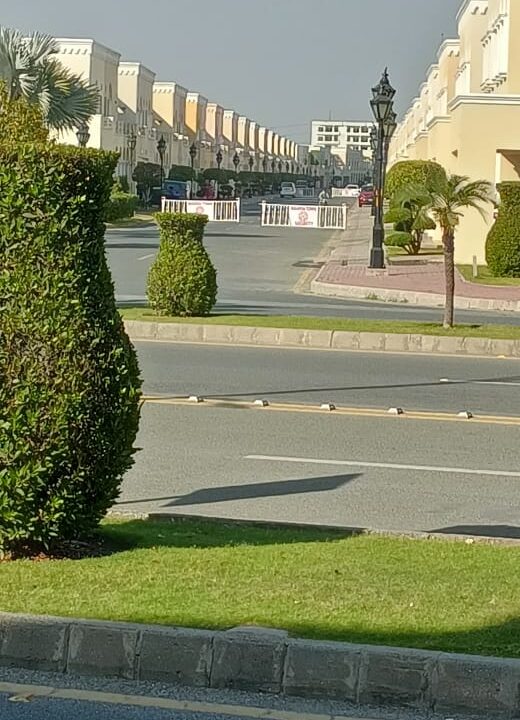 WhatsApp Image 2025-03-22 at 3.50.09 PM