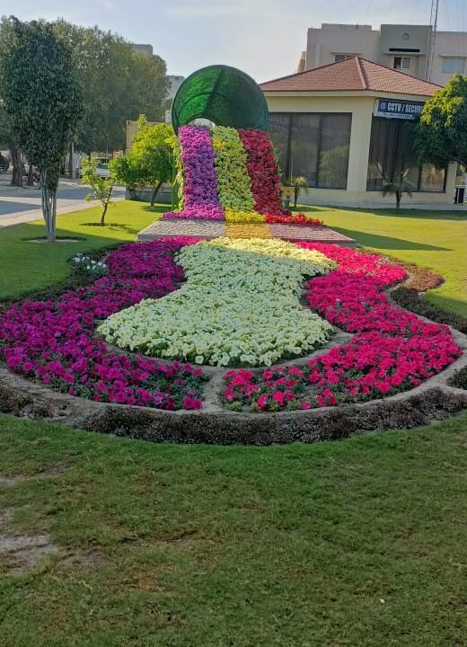 WhatsApp Image 2025-03-22 at 3.53.20 PM